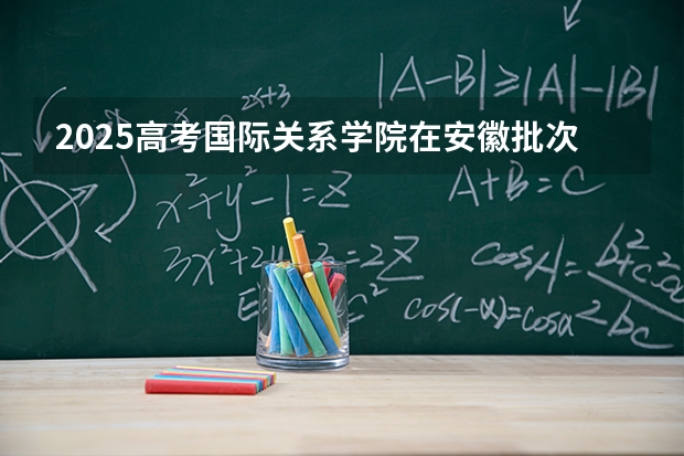 2025高考国际关系学院在安徽批次选科要求有哪些