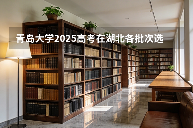 青岛大学2025高考在湖北各批次选科要求如何
