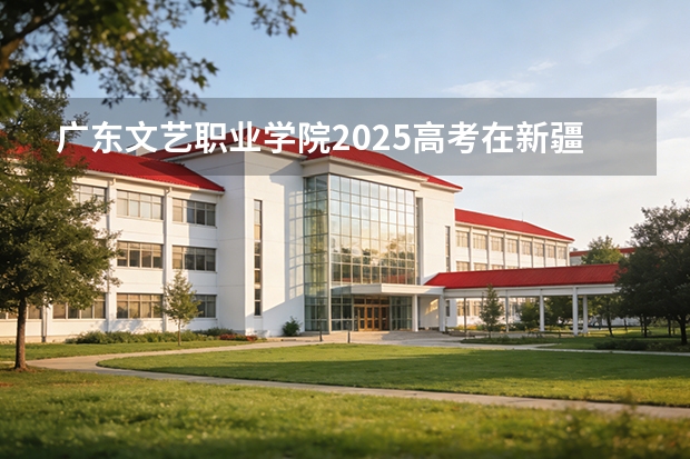 广东文艺职业学院2025高考在新疆投档分数线