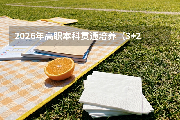 2026年高职本科贯通培养（3+2）政策详解：低分上本科的另一条路
