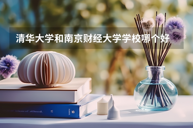 清华大学和南京财经大学学校哪个好 录取分数线对比