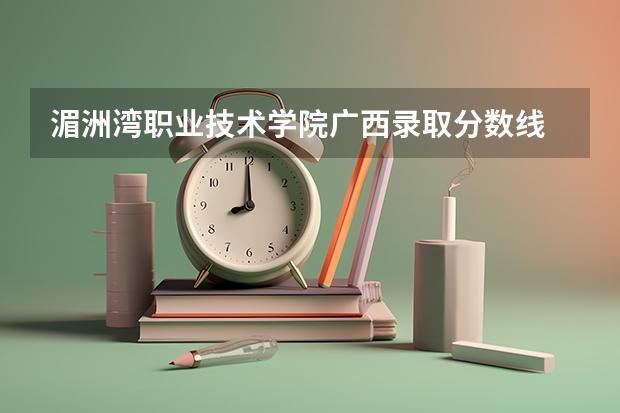 湄洲湾职业技术学院广西录取分数线 湄洲湾职业技术学院广西招生人数多少
