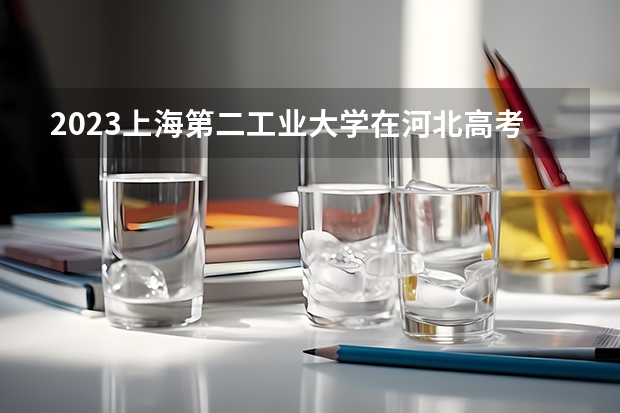 2023上海第二工业大学在河北高考专业招生计划人数