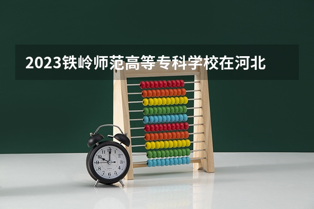 2023铁岭师范高等专科学校在河北高考专业招生计划人数