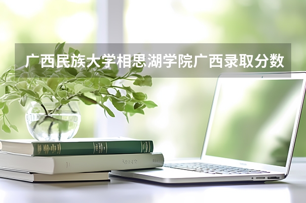 广西民族大学相思湖学院广西录取分数线 广西民族大学相思湖学院广西招生人数多少