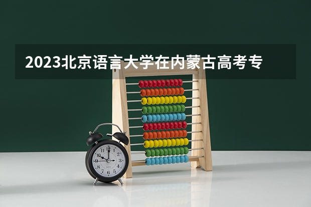 2023北京语言大学在内蒙古高考专业招生计划人数