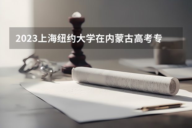 2023上海纽约大学在内蒙古高考专业招生计划人数