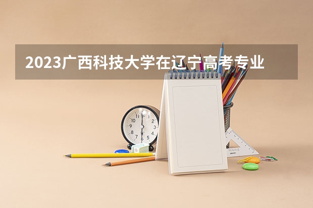 2023广西科技大学在辽宁高考专业招生计划人数